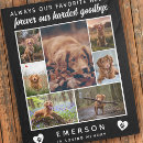 Search for memory photo blankets Sympathy