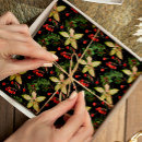 Search for vintage christmas tissue paper Poinsettia