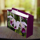 Search for plant gift bags Floral