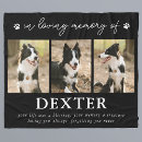 Search for photo memorial blankets Dog