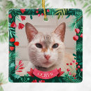 Search for cat picture ornaments Cats