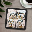 Search for dog coasters Modern