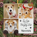 Search for funny ornaments Pet