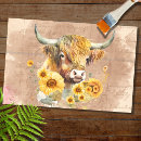 Search for cow tissue paper Cute