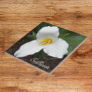 Search for floral tiles Botanical