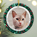 Search for forever home ornaments Pet photo