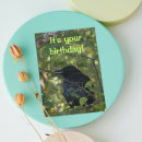 Search for funny crow birthday cards Birds