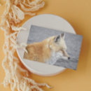 Search for fox birthday cards Funny