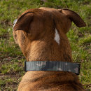 Search for dog collars Dogs