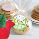 Search for baby boy shower dinosaur Jungle