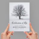 Search for tree memorial service invitations Elegant