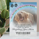 Search for unique pet memorials In loving memory