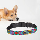 Search for pet collars Colorful