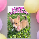 Search for corgi cards Cute