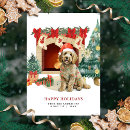 Search for goldendoodle christmas cards Watercolor