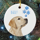 Search for yellow lab ornaments Snowflakes