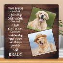 Search for pet portraits Unique