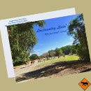 Search for horse postcards South carolina
