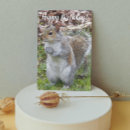 Search for funny squirrel birthday cards Rodent