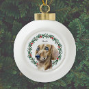 Search for dachshund ornaments Watercolor