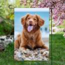 Search for dogs outdoor signs Remembrance