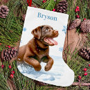 Search for chocolate lab christmas stockings For pets