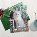 Search for cat snowman cards Winter
