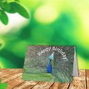 Search for funny peacock cards Happy