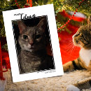 Search for cat pun holiday cards Cute