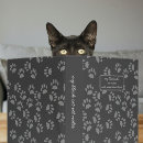 Search for paw print folders Black