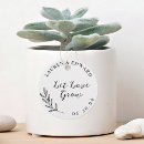 Search for let love grow favor tags Succulent