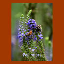 Search for pollinator posters Flowers