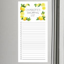 Search for lemon magnets Fruit