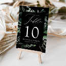 Search for eucalyptus table cards Watercolor foliage