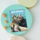Search for seal birthday cards Sea lion