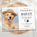 Search for remembrance invitations Minimalist