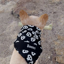 Search for halloween dog bandanas Black