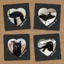 Search for pet photo coasters Cat