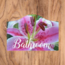 Search for stargazer lily decor Botanical