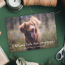 Search for pet holiday cards Simple