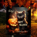 Search for black cat wine labels Kitten