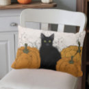 Search for black cat pillows Fall