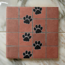 Search for terracotta tiles Black