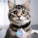 Search for pet collars harnesses Initial