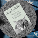 Search for funny cat get well cards Sick
