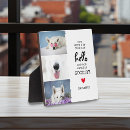 Search for pet portraits Modern