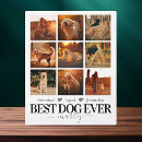 Search for pet portraits Keepsake