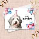 Search for old english sheepdog cards Cute
