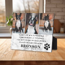 Search for unique pet memorials Forever in our hearts