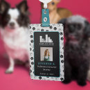 Search for dog grooming logo Professional